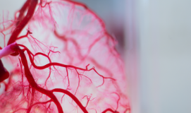 Heart & Vascular Centre